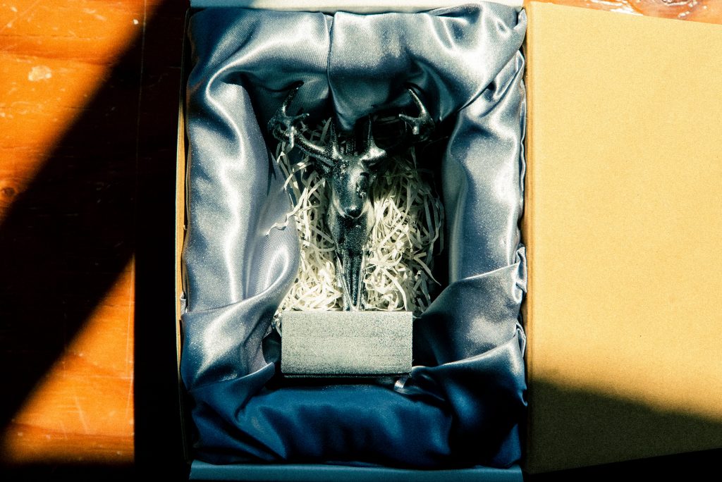 One day of maxilla 2023/12/11