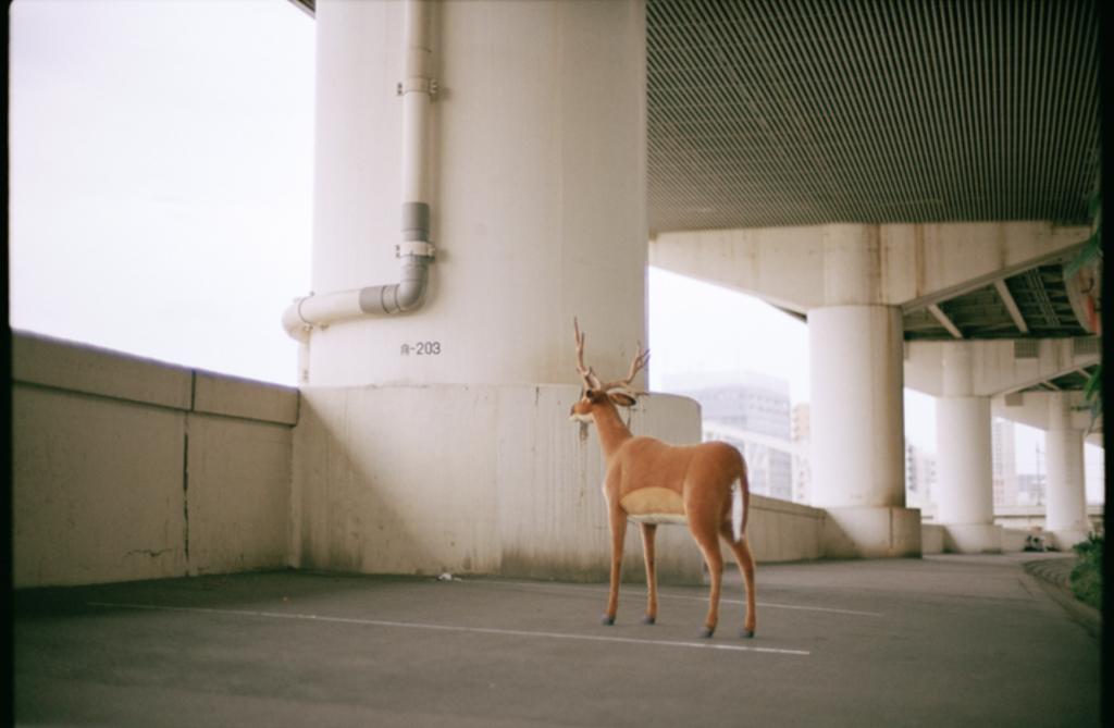 Helixes社員が振り返る2024 〜わたしたちのBEST3〜